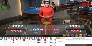 Web chơi xóc đĩa uy tín - Mocbai Casino với đa sảnh chơi