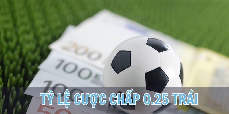 Cách đọc hiểu 0.25 trái trong tỷ lệ kèo châu Á là gì?